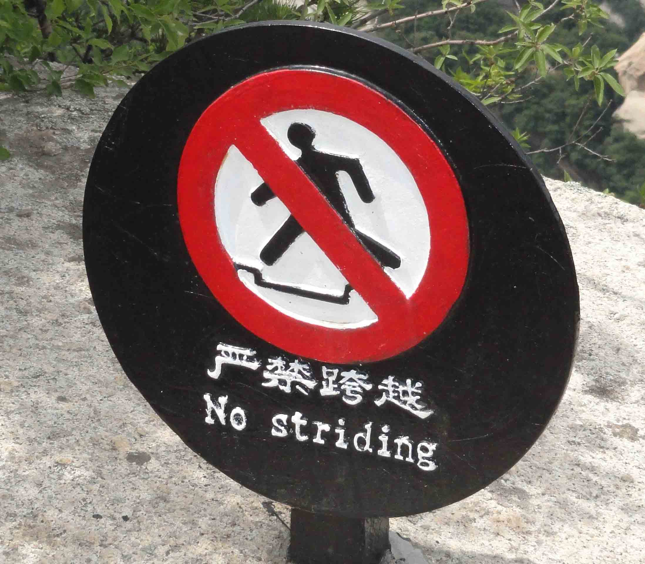 No_striding_sq