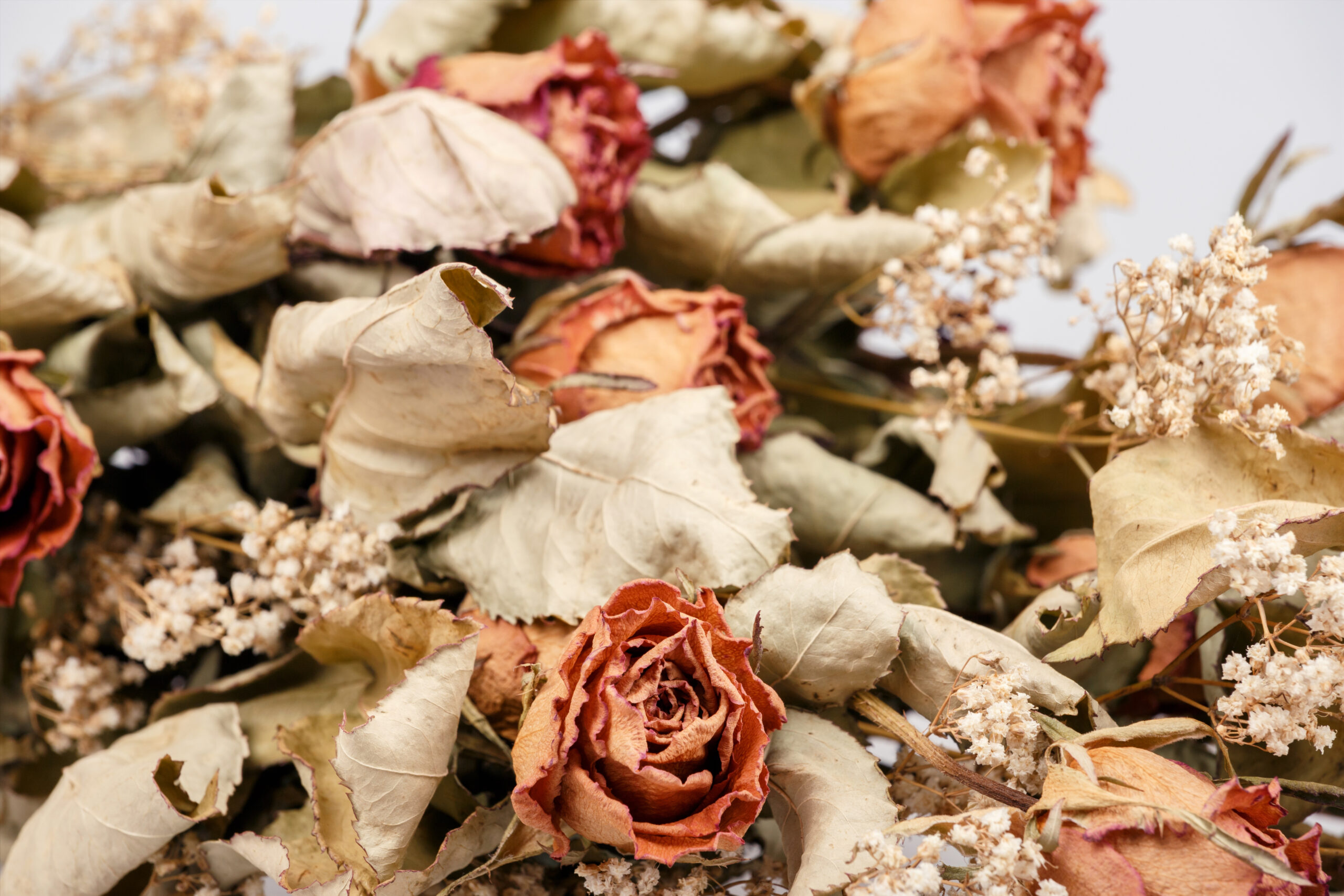 Detail of bouquet of dried roses with leaves.